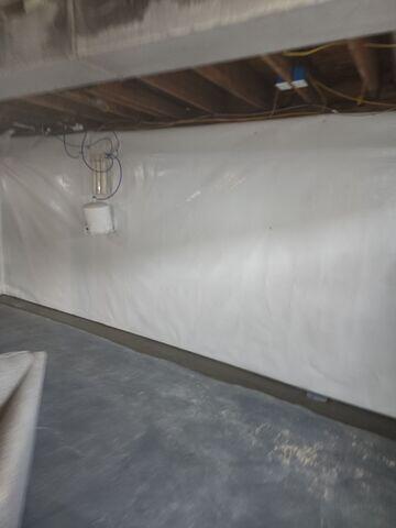 CleanSpace