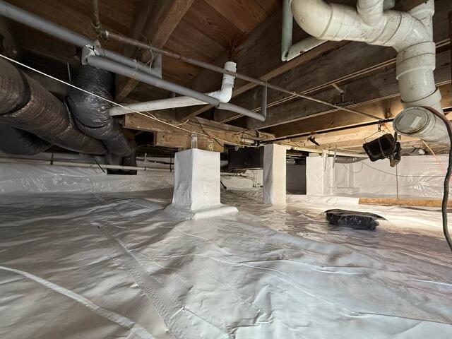 CleanSpace