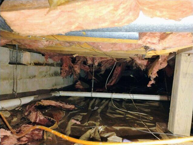 Damp Crawl Space