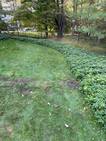 Discharge Line