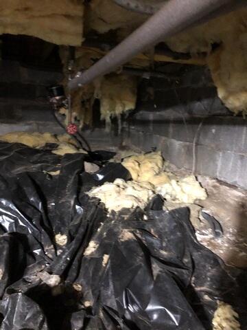 Damp Crawl Space