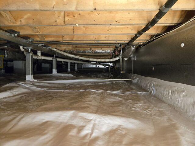 Crawl Space 2