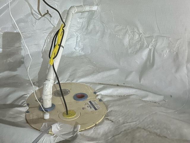 TripleSafe Sump Pump