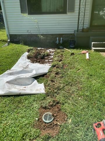 Project Complete