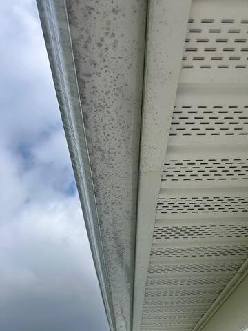Before Gutter Brightening