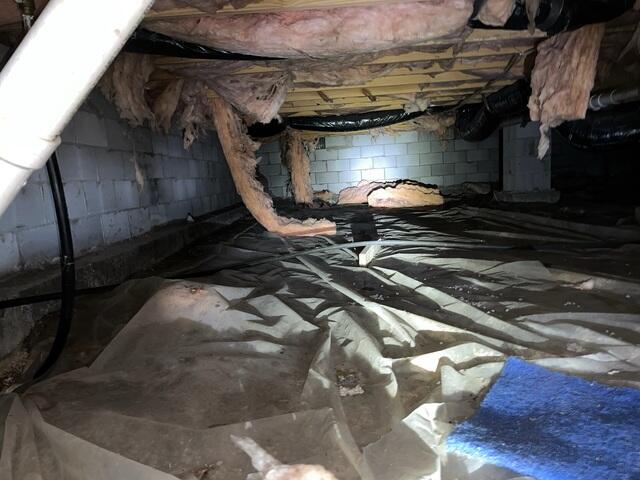 Wet Crawl Space in Winchester, KY
