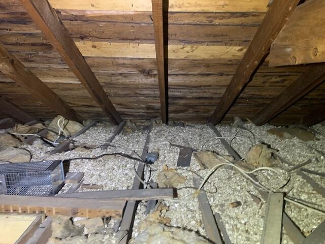 Vermiculite Removal