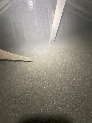 New Cellulose