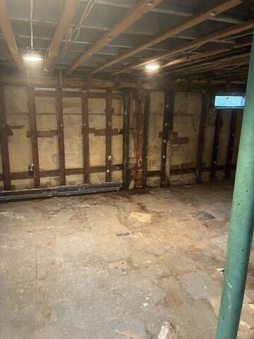 Stops Mold From Returning