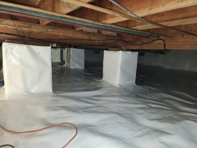 CleanSpace