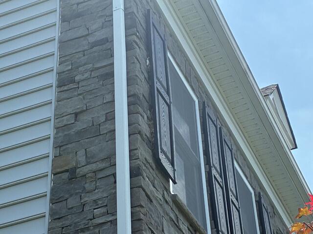 Lots of Nests Behind the Shutters