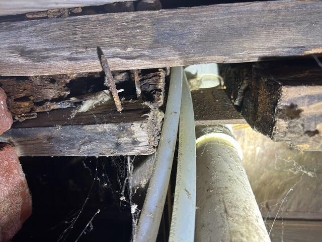 Rotten Floor Joist
