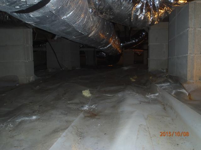 The Floor of the Crawl Space