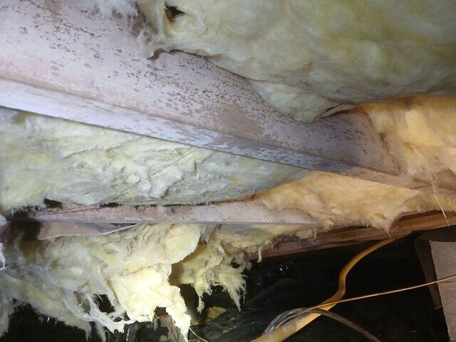 More Moisture Issues