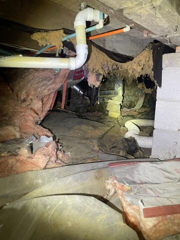 Nasty Crawl Space