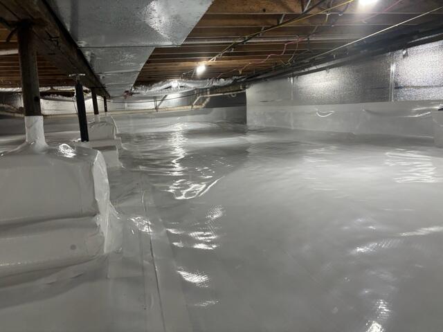 CleanSpace