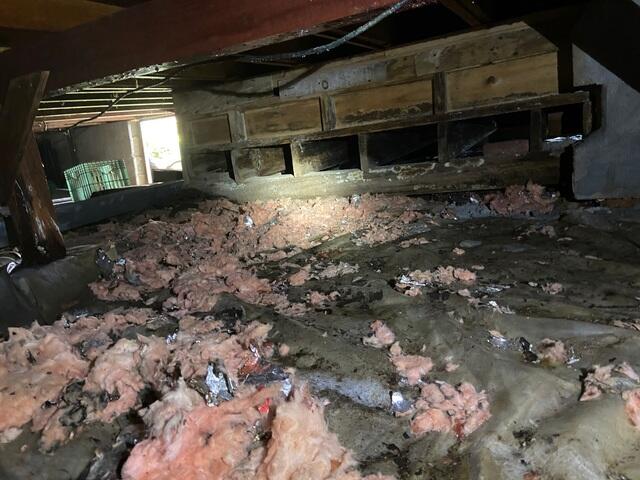 Crawl Space - Before