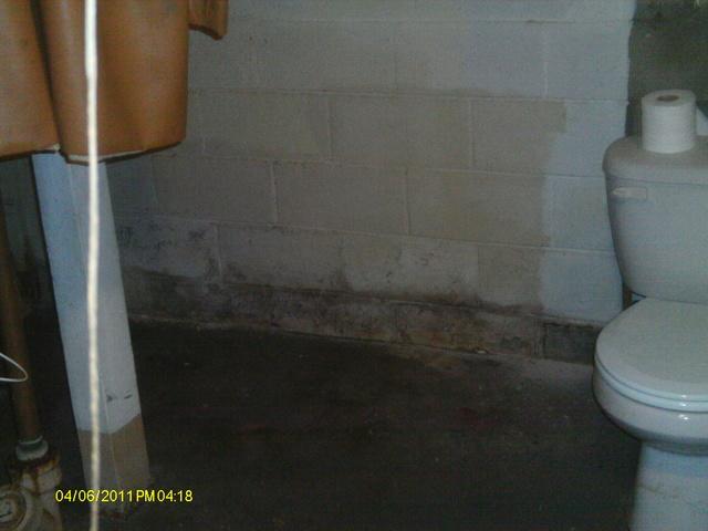 Before TripleSafe Sump Pump