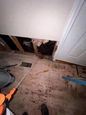 Abatement and Mold Cleanup Services