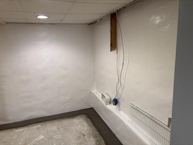 CleanSpace
