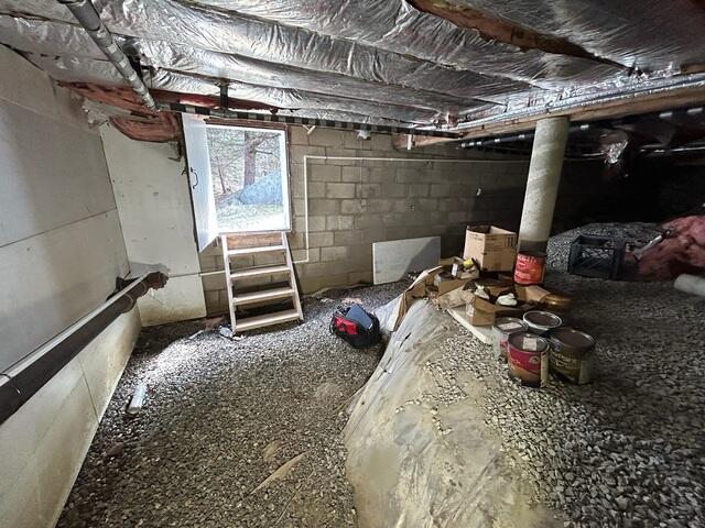 Crawl Space - Before