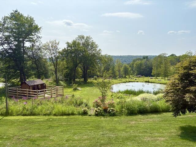 View from the house