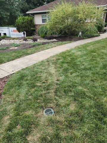 Discharge Line