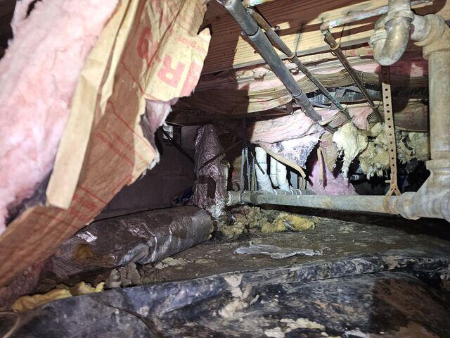 Crawl Space During Inspection