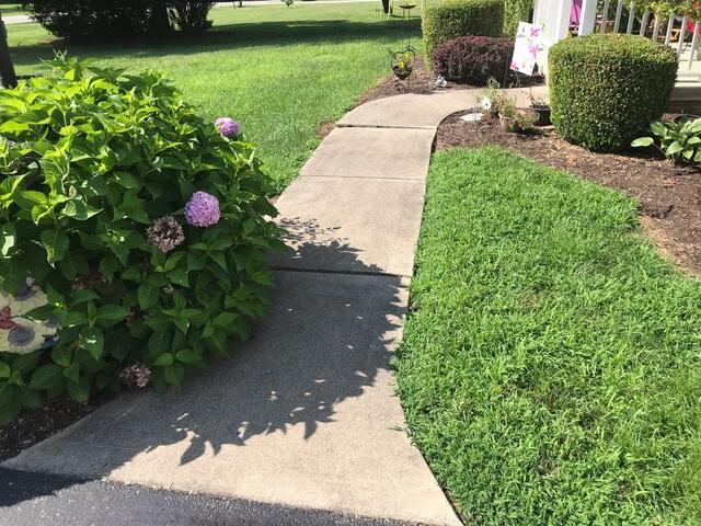 Unsightly Sidewalk in Georgetown, OH