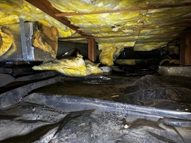 Damp Crawl Space