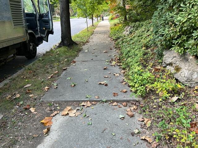 Sunken Sidewalk