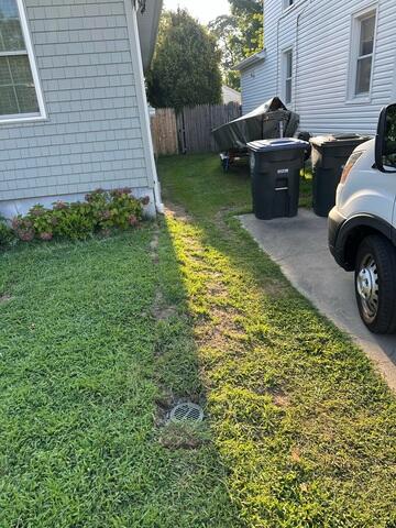 LawnScape