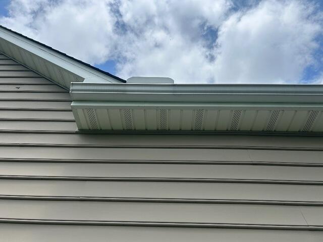 Before Gutter Cleaning
