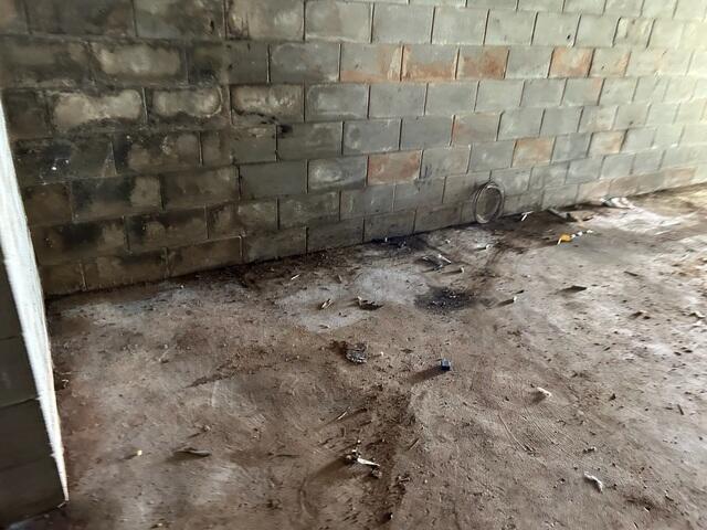 Basement During Inspection