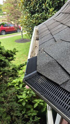RainDrop Gutter Guard
