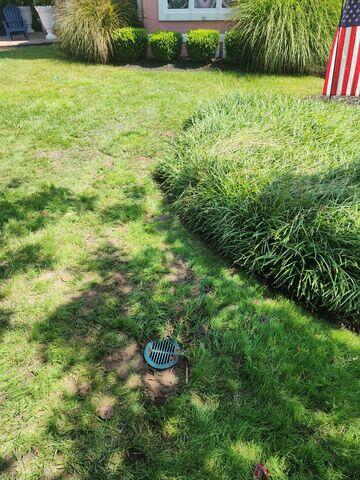 LawnScape