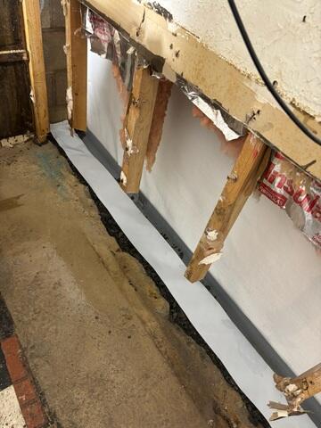 CleanSpace Wall Panels