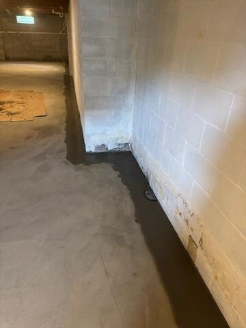 WaterGuard Drainage System