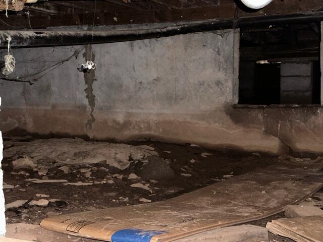 Crawl Space