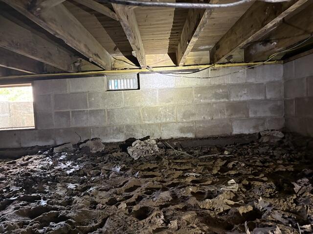 Crawl Space - Before