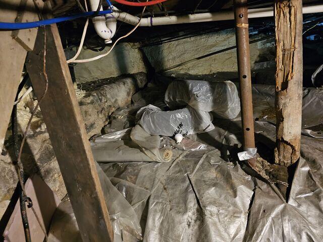 Crawl Space - Before
