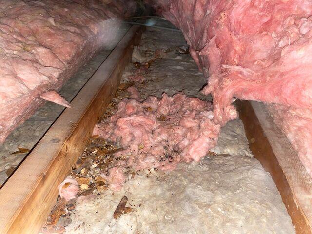 Old insulation
