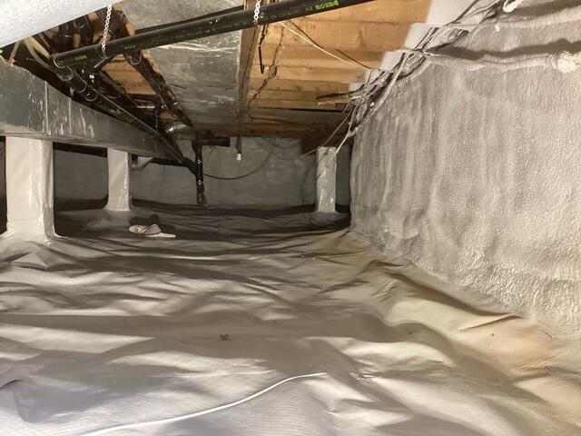 Spray Foam