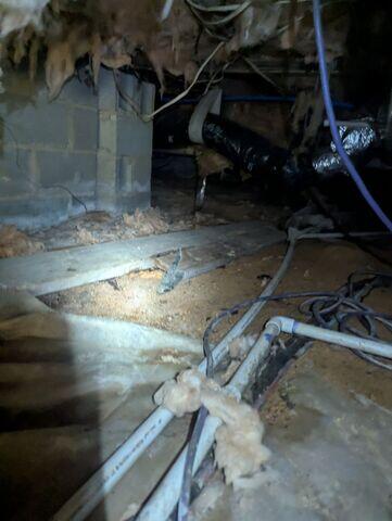 Crawl Space Moisture and Damage - Pittsboro, NC