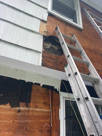 Siding Replacement needed