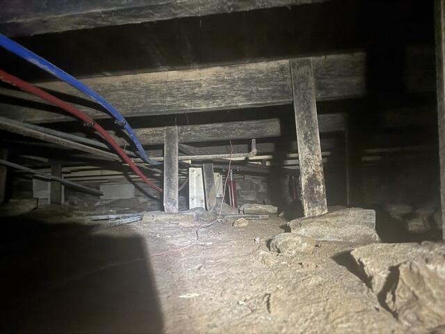 Rotting Supports