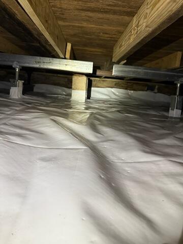 CleanSpace Liner