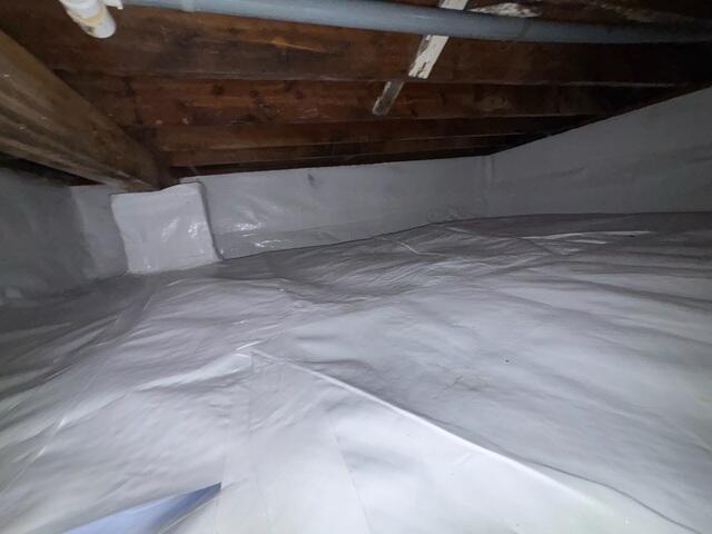 CleanSpace