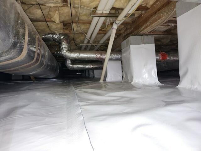 CleanSpace Liner