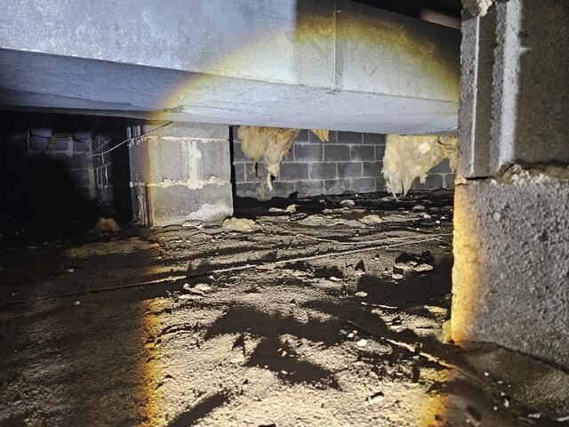 Crawl Space